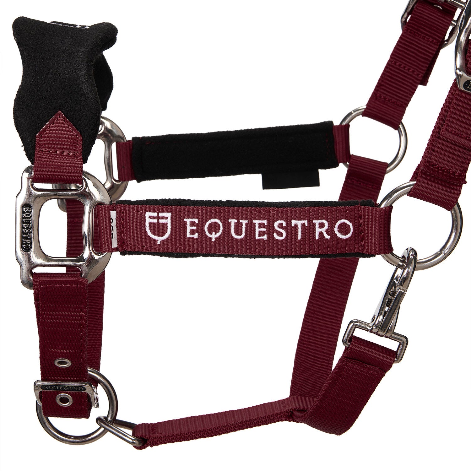 Halter with double adjustment and lead rope