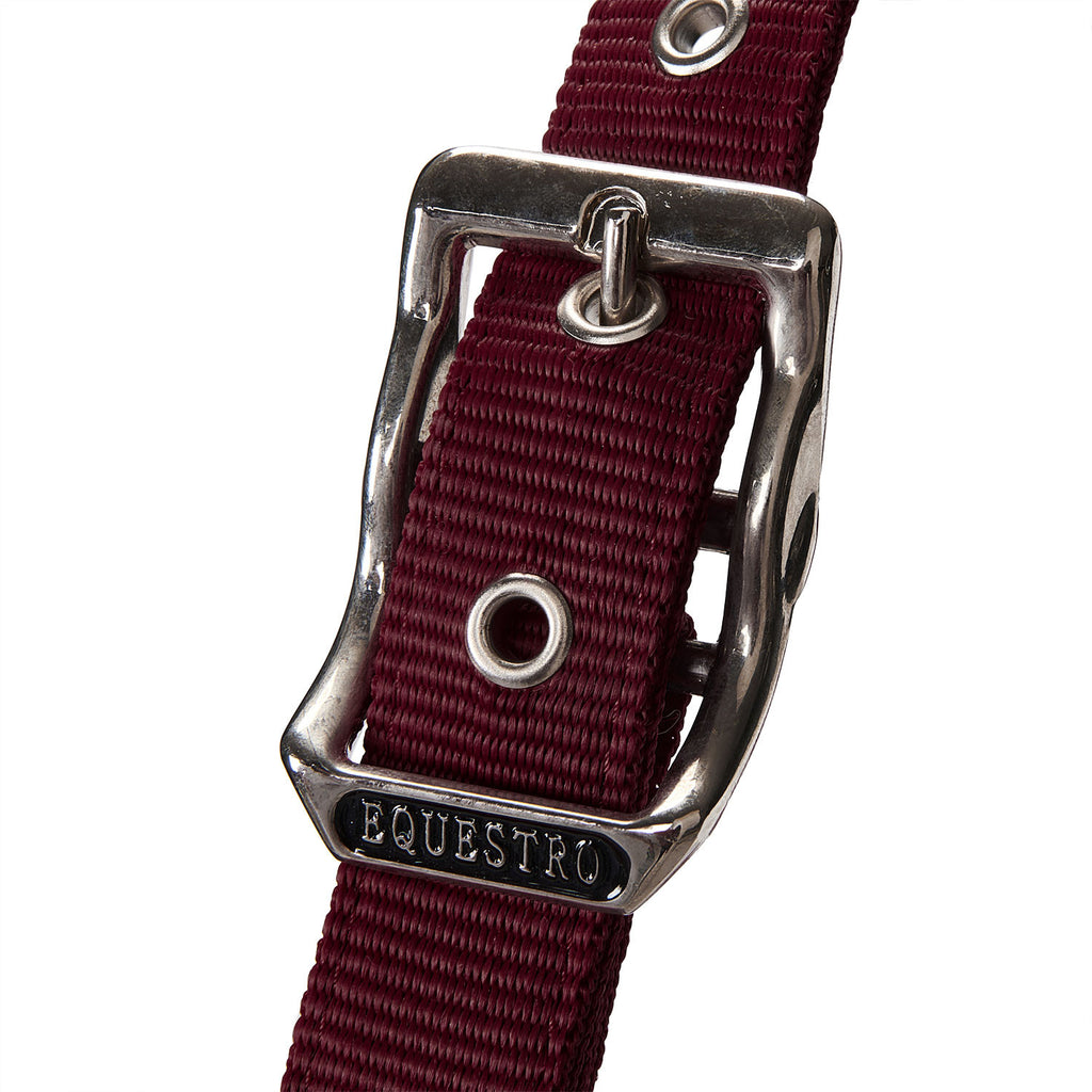 Halter with double adjustment and lead rope
