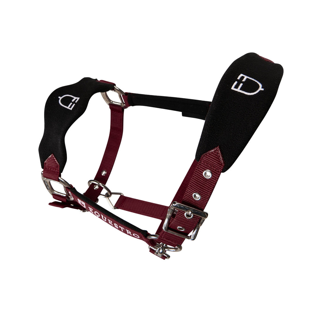 Halter with double adjustment and lead rope