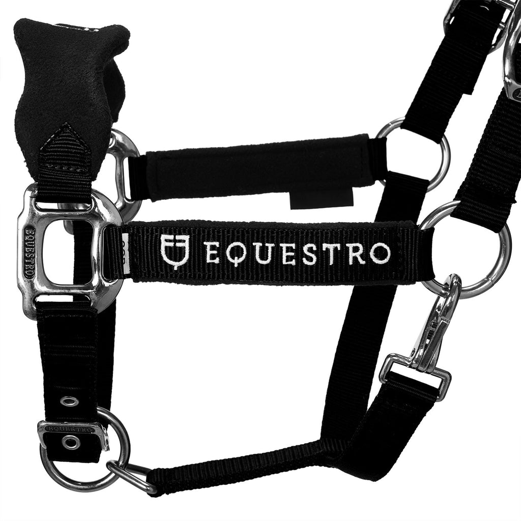 Halter with double adjustment and lead rope