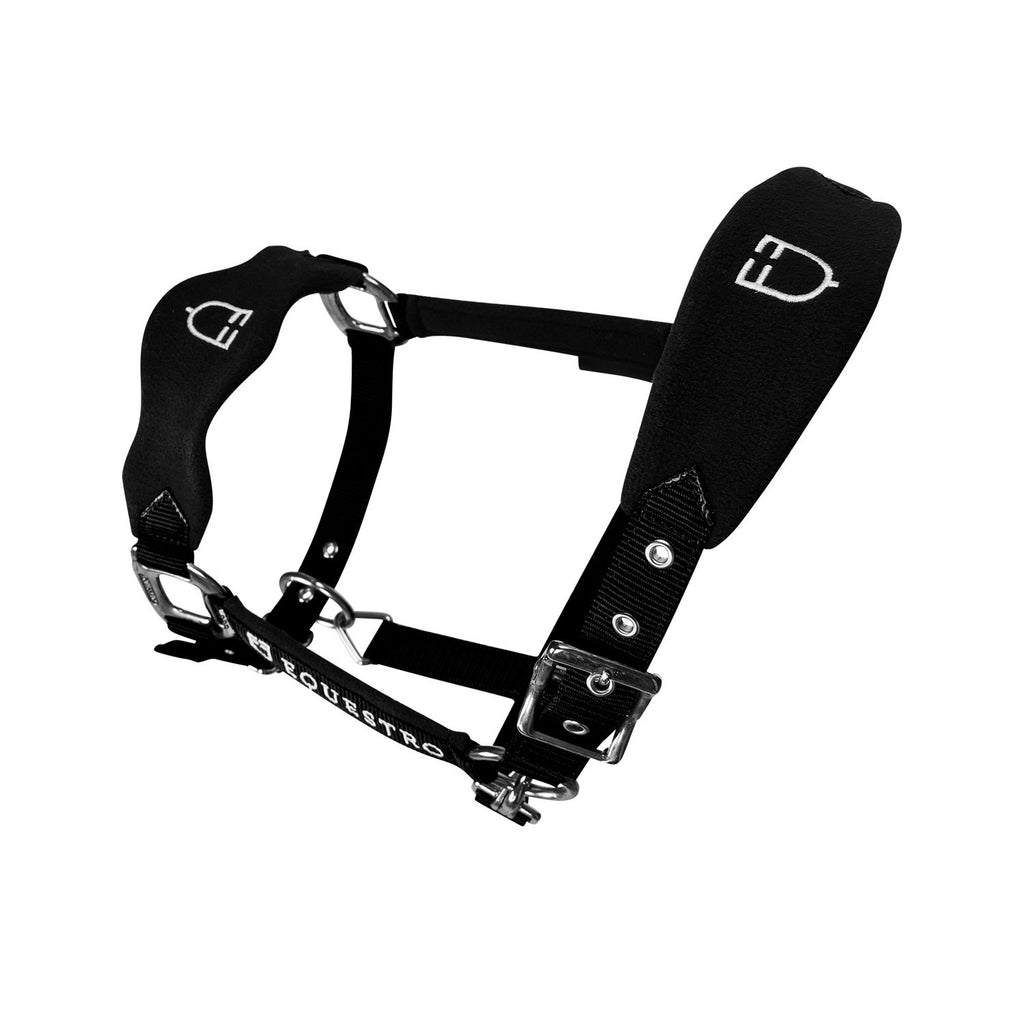 Halter with double adjustment and lead rope
