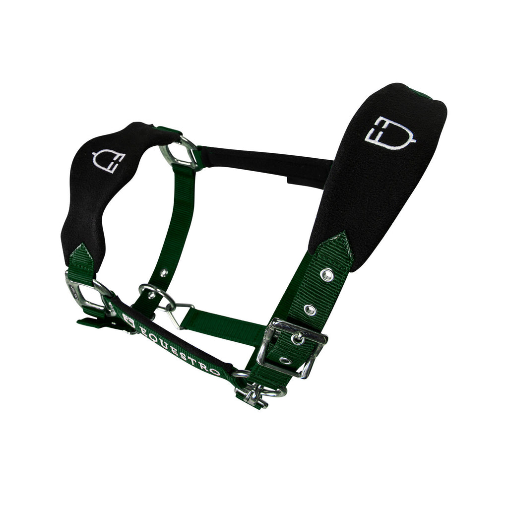 Halter with double adjustment and lead rope