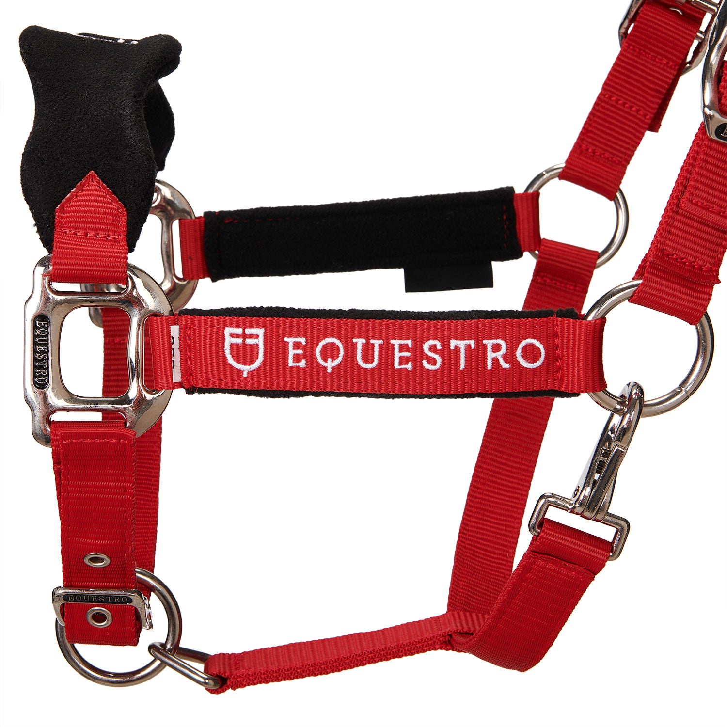 Halter with double adjustment and lead rope