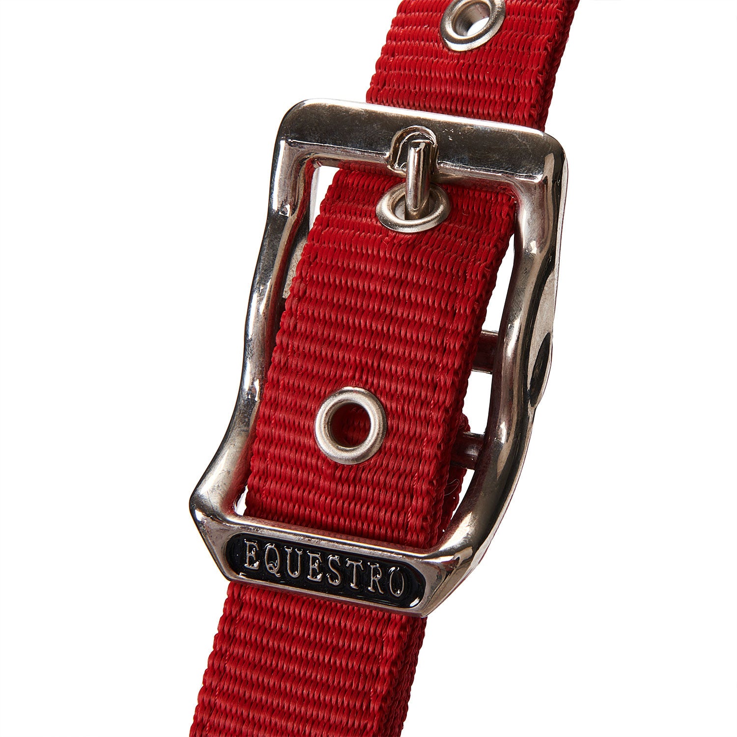 Halter with double adjustment and lead rope