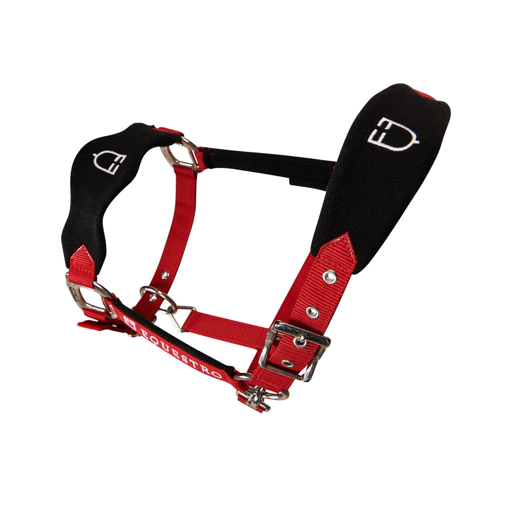 Halter with double adjustment and lead rope