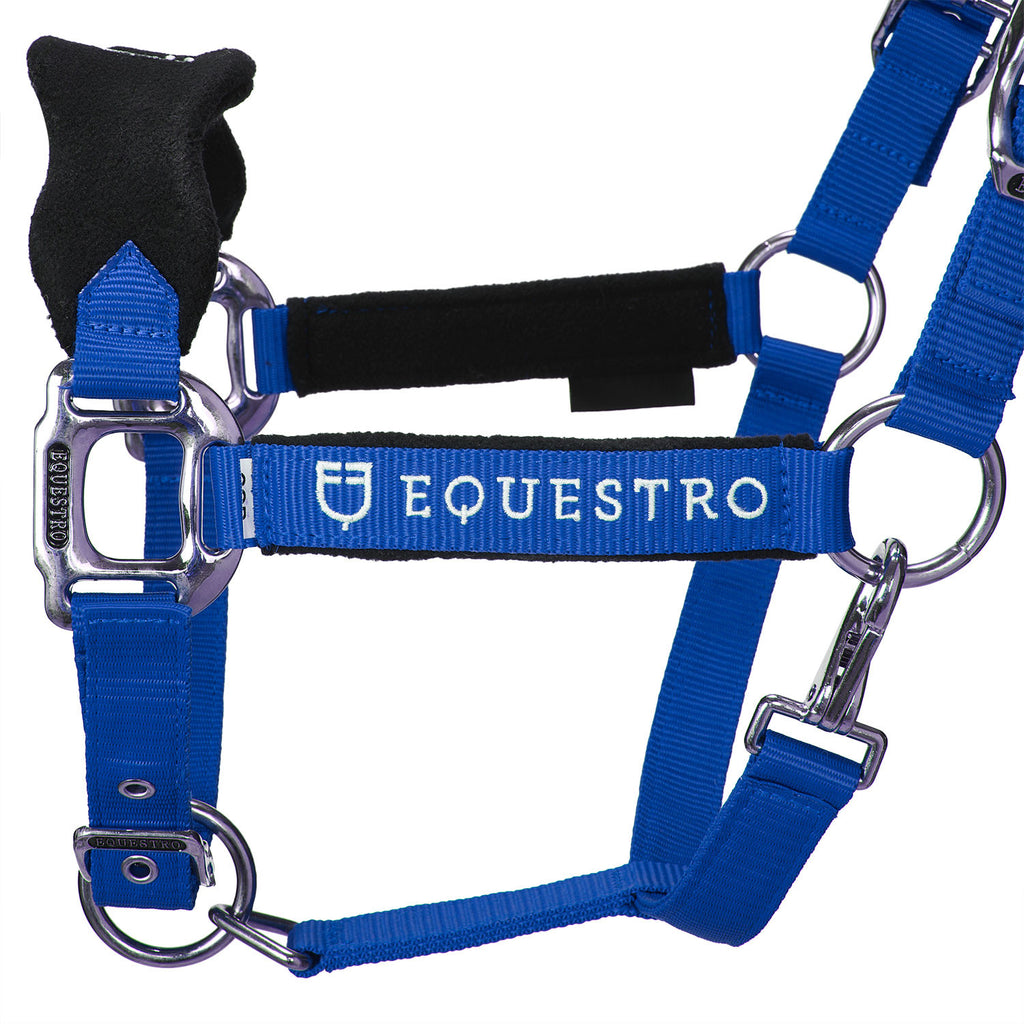 Halter with double adjustment and lead rope