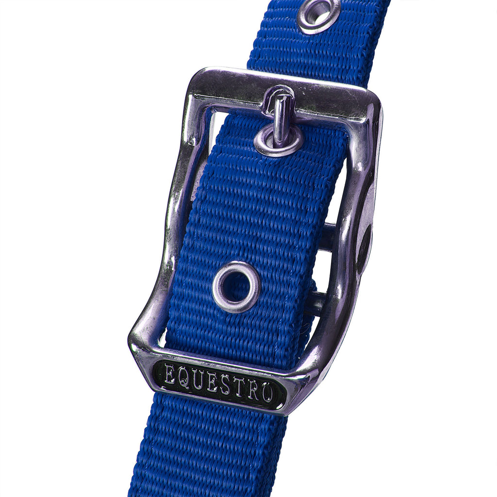 Halter with double adjustment and lead rope