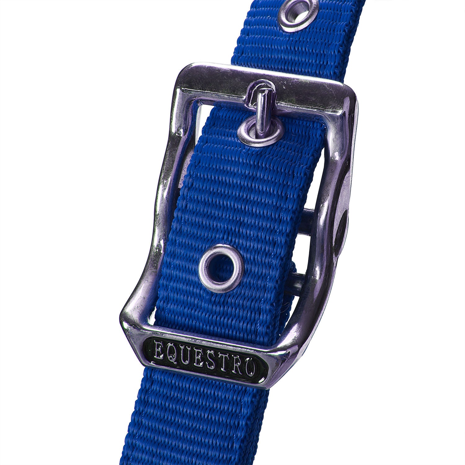 Halter with double adjustment and lead rope