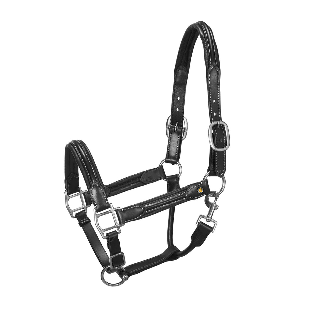 Soft leather halter with durable buckles NEW