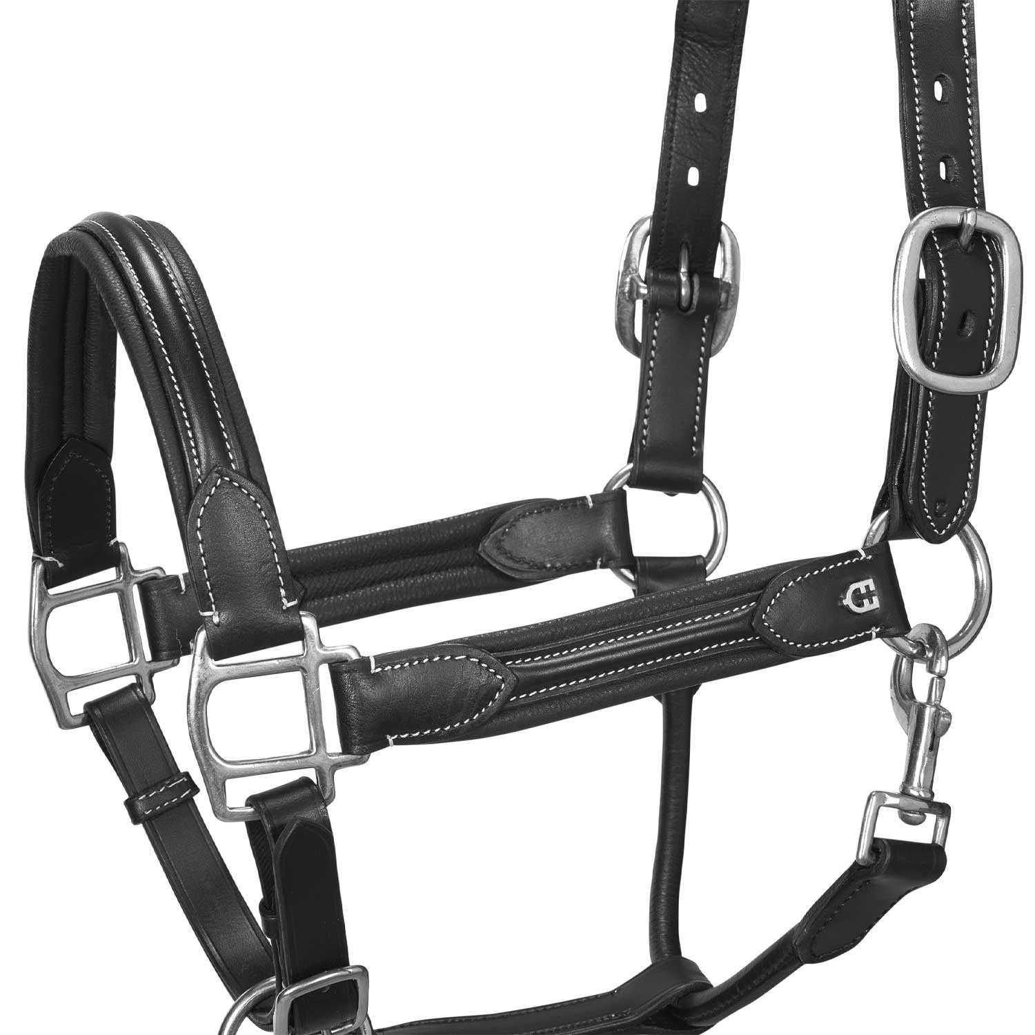 Soft leather halter with durable buckles