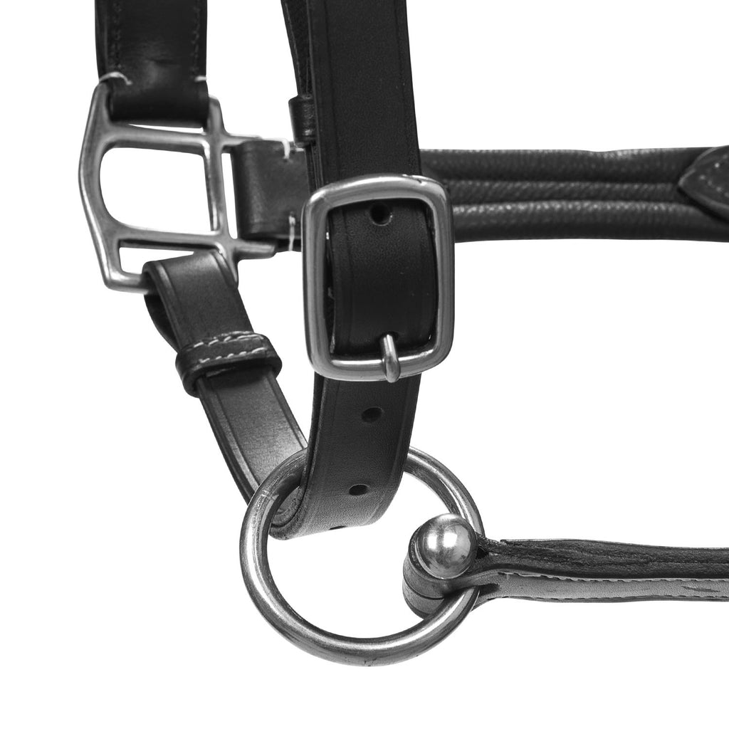 Soft leather halter with durable buckles