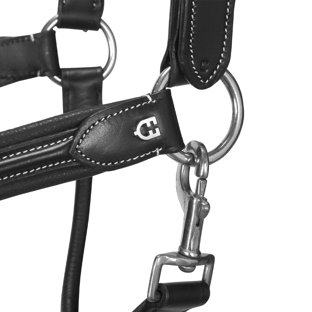Soft leather halter with durable buckles