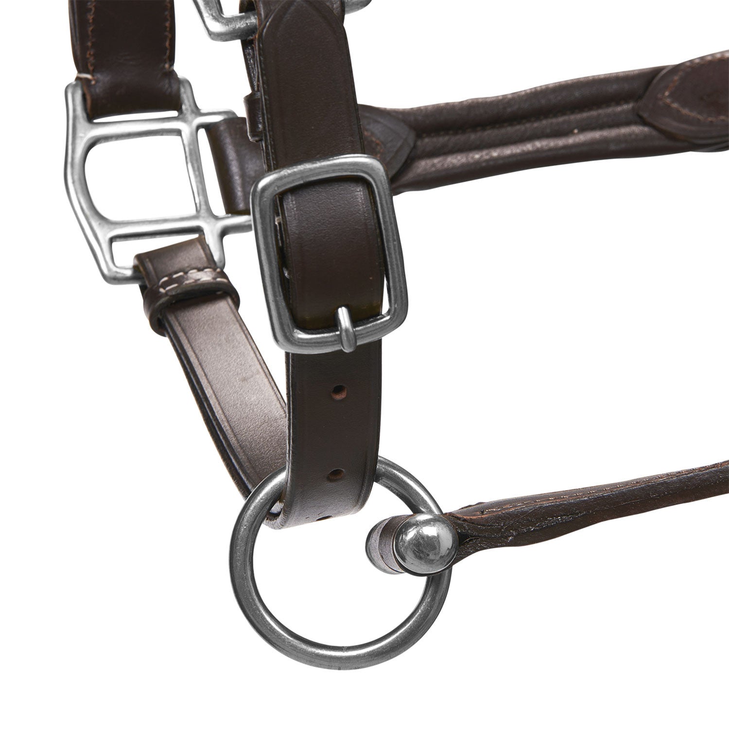 Soft leather halter with durable buckles