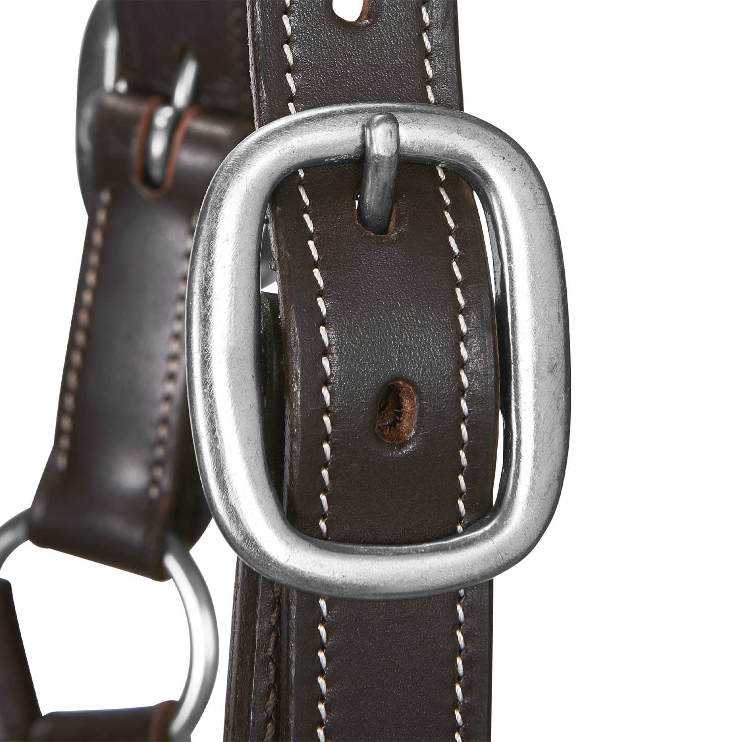 Soft leather halter with durable buckles