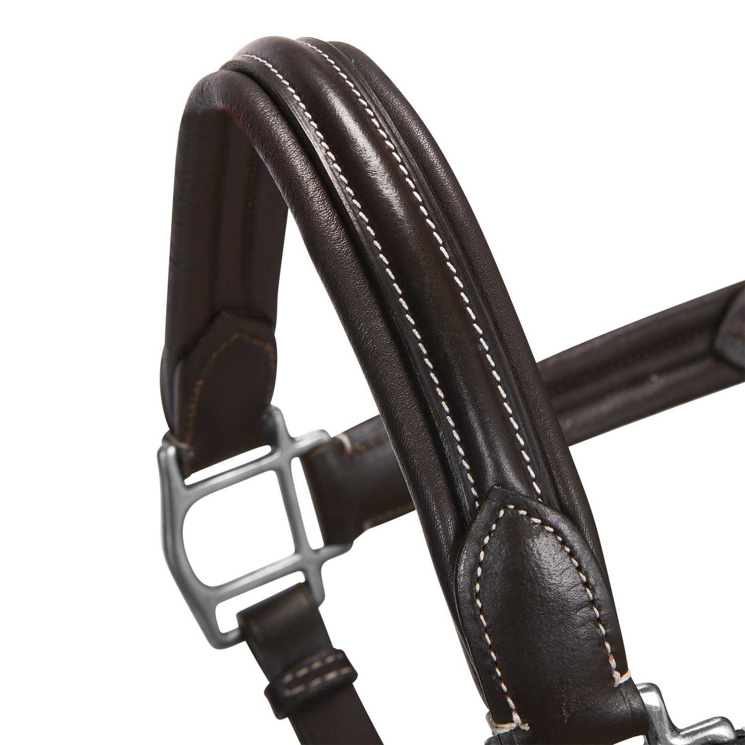 Soft leather halter with durable buckles