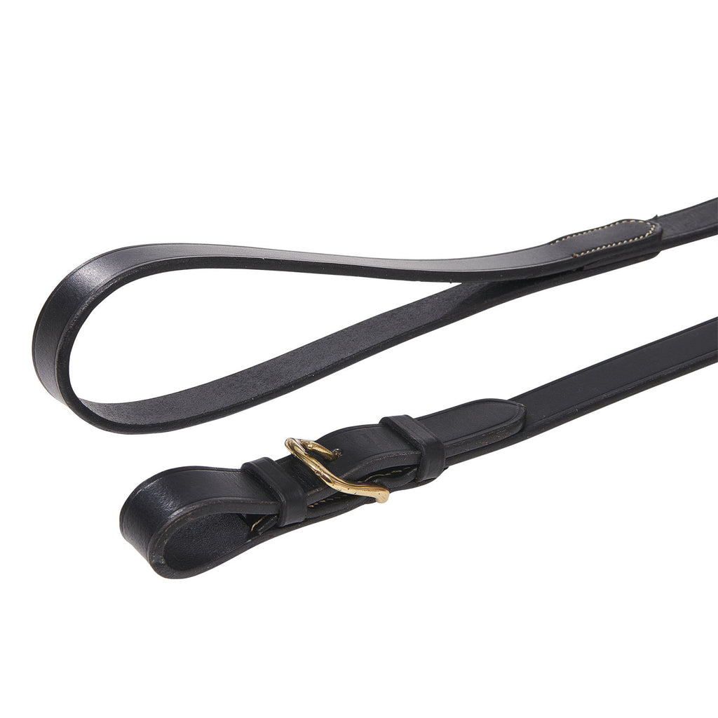Lead rope with resistant brass chain