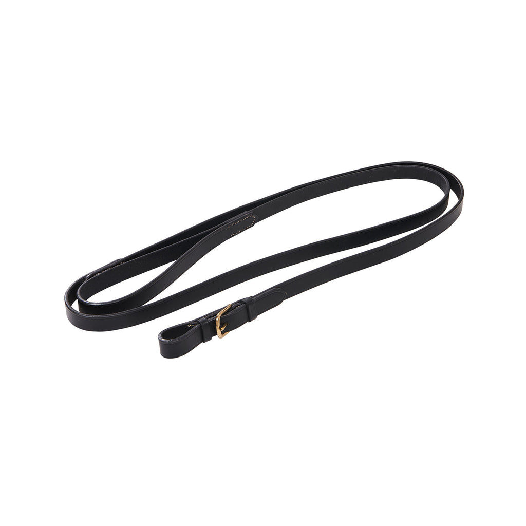Lead rope with resistant brass chain
