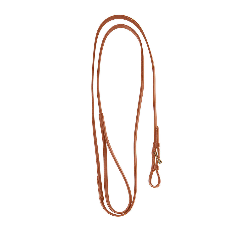 Lead rope with resistant brass chain