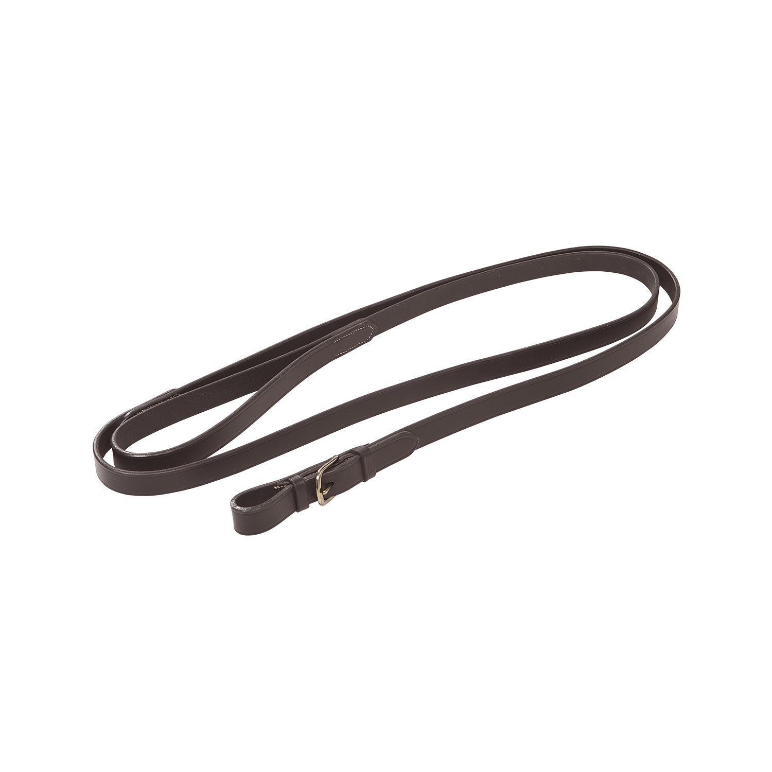 Lead rope with resistant brass chain