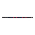 Leather browband with two-tone decorations