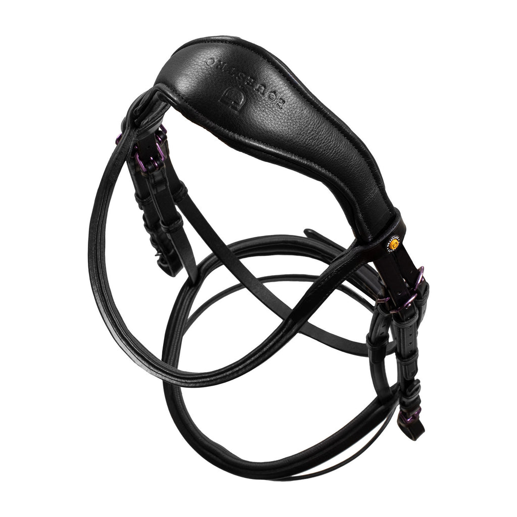 ANATOMIC LEATHER BRIDLE BLACK FITTING