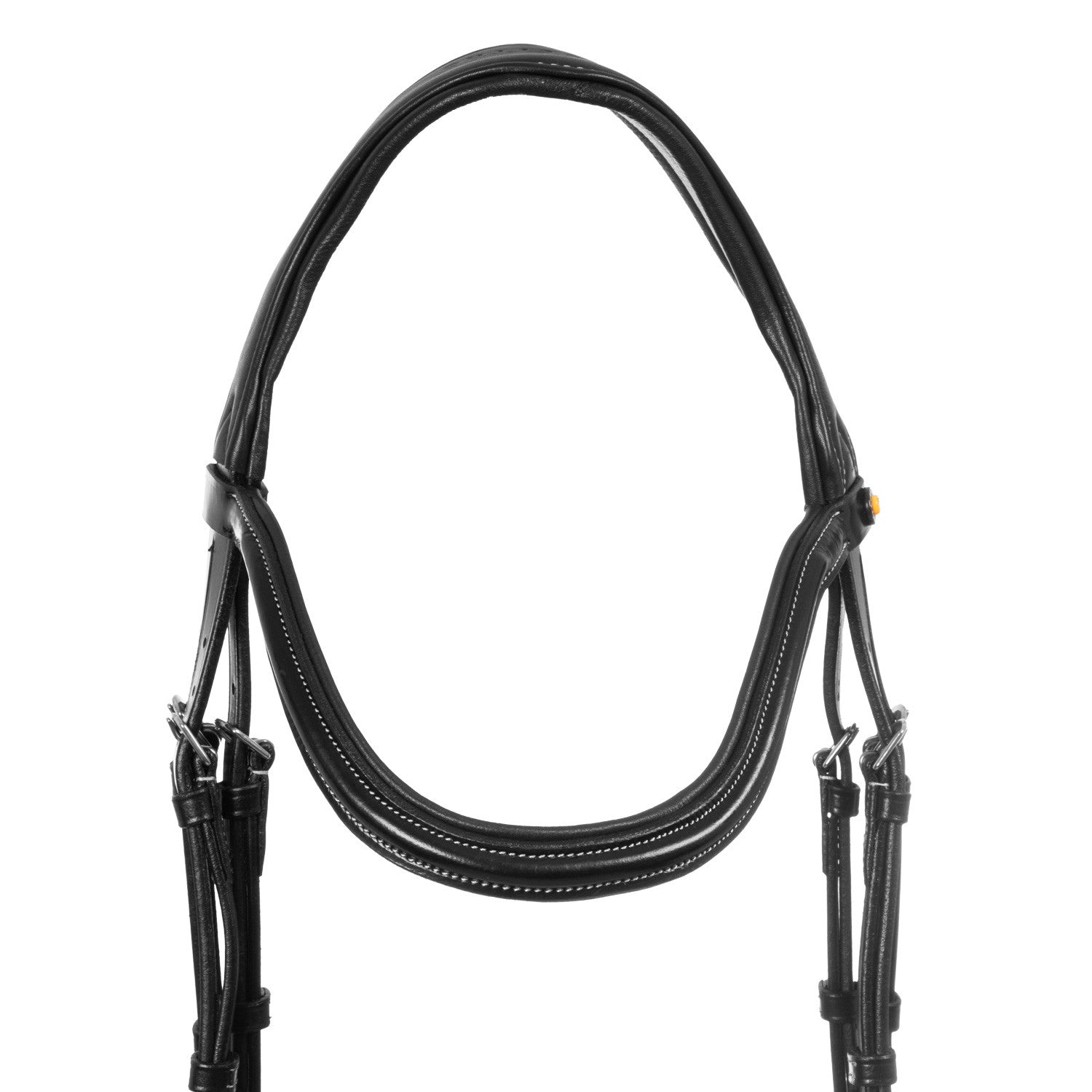 Anatomical bridle contrast stitching