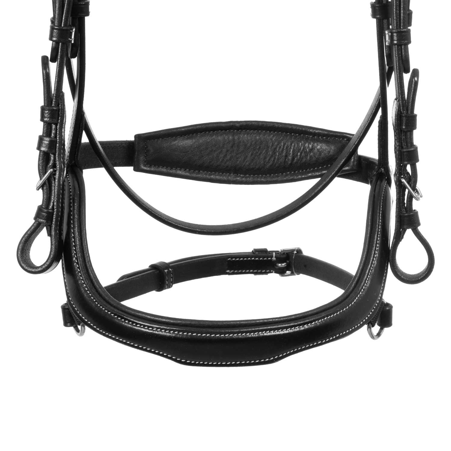 Anatomical bridle contrast stitching