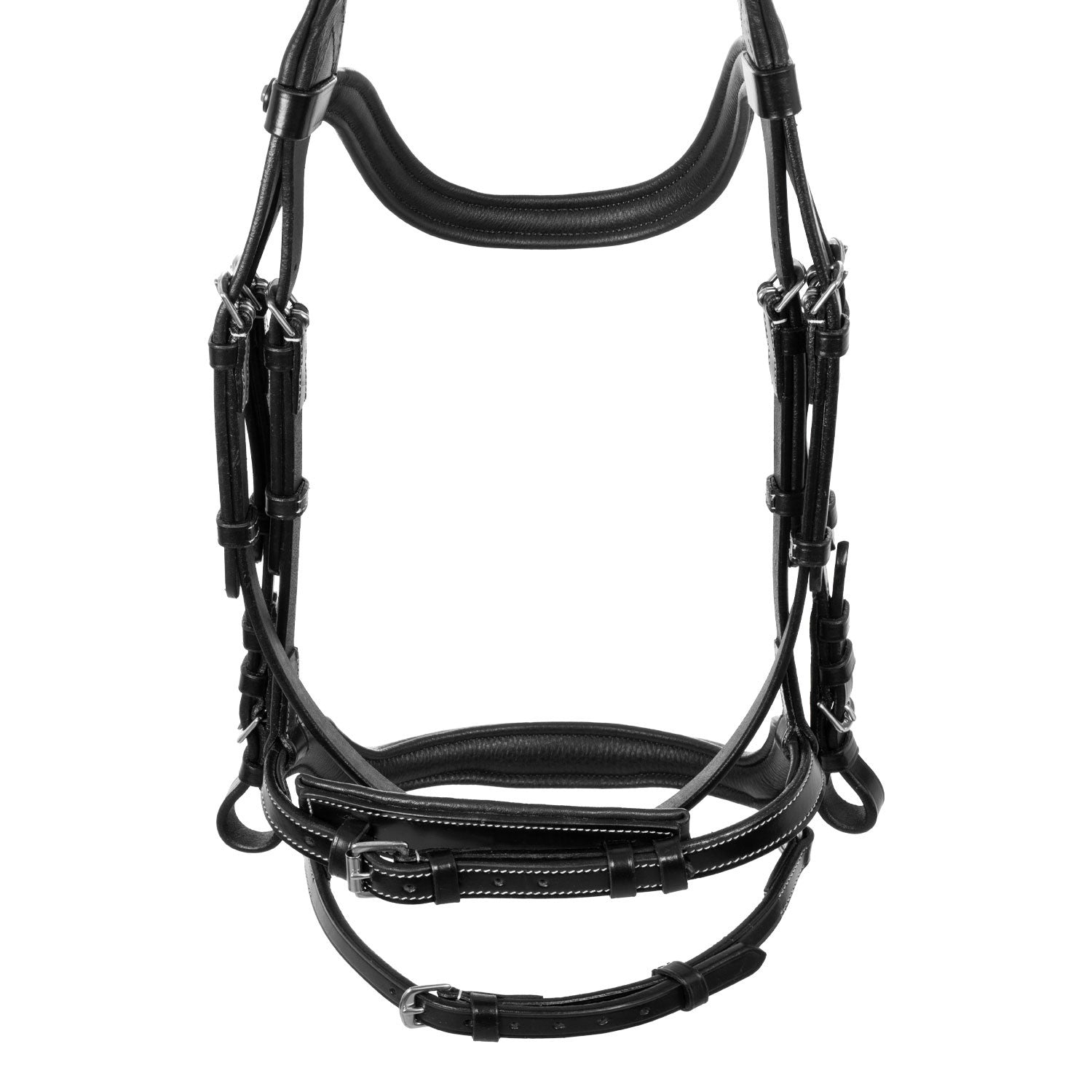 Anatomical bridle contrast stitching