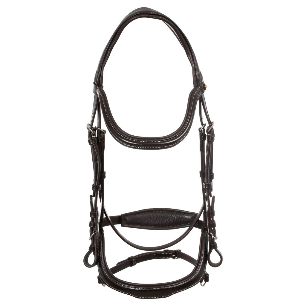 Anatomical bridle contrast stitching