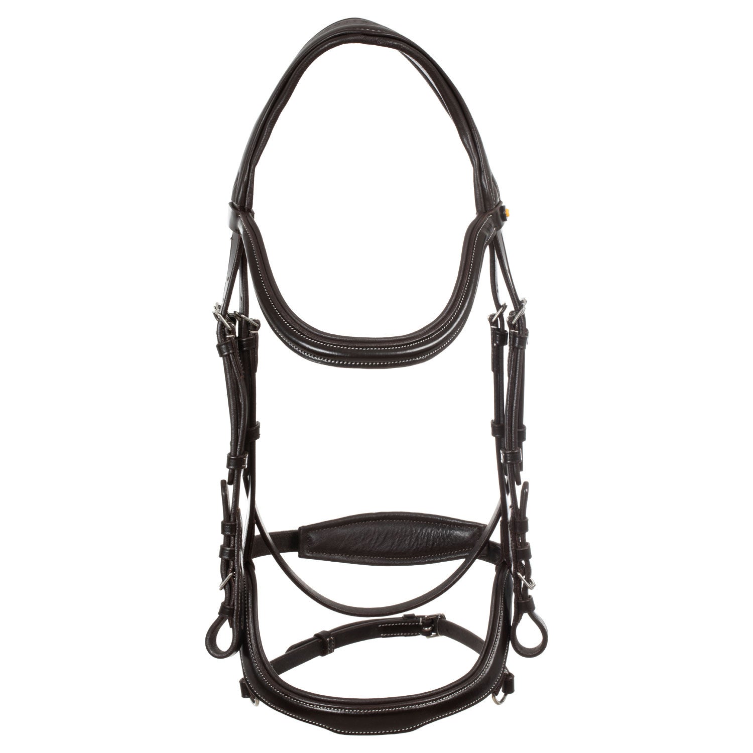 Anatomical bridle contrast stitching