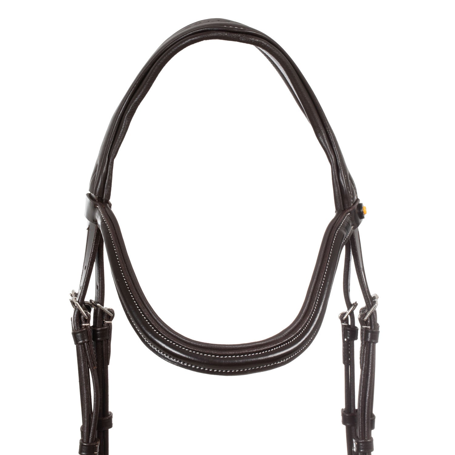 Anatomical bridle contrast stitching