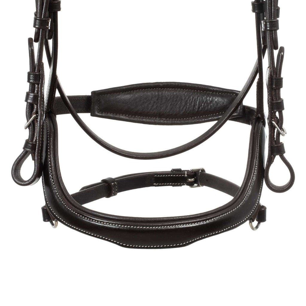 Anatomical bridle contrast stitching