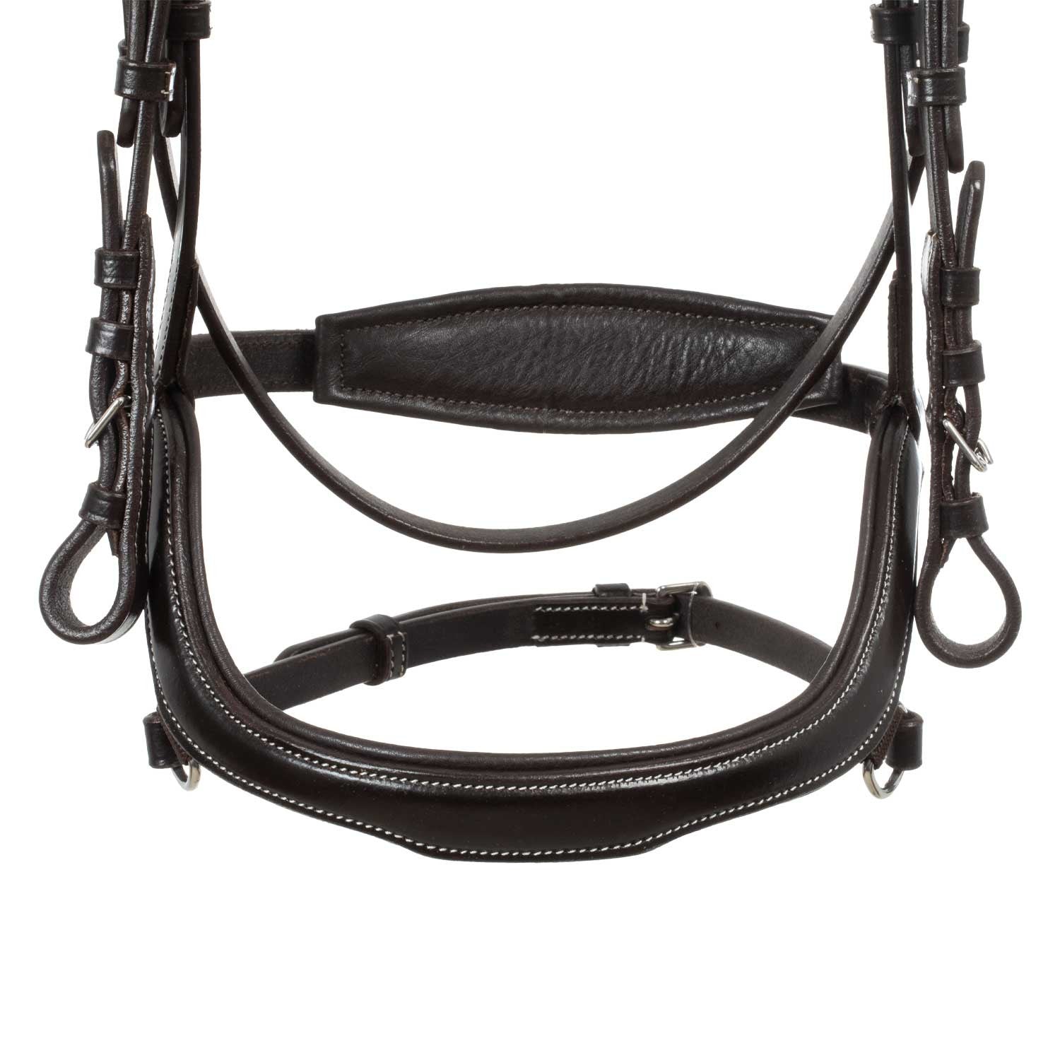 Anatomical bridle contrast stitching
