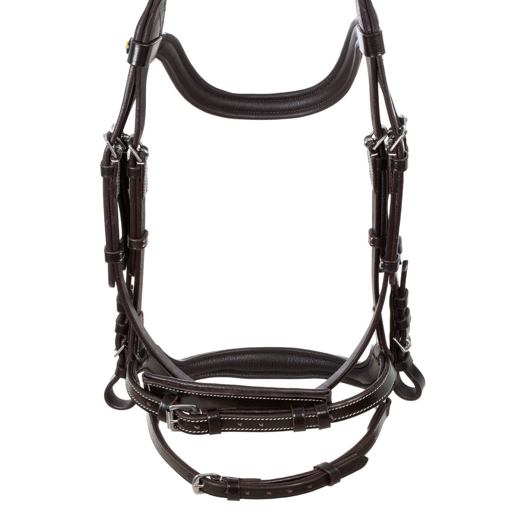 Anatomical bridle contrast stitching