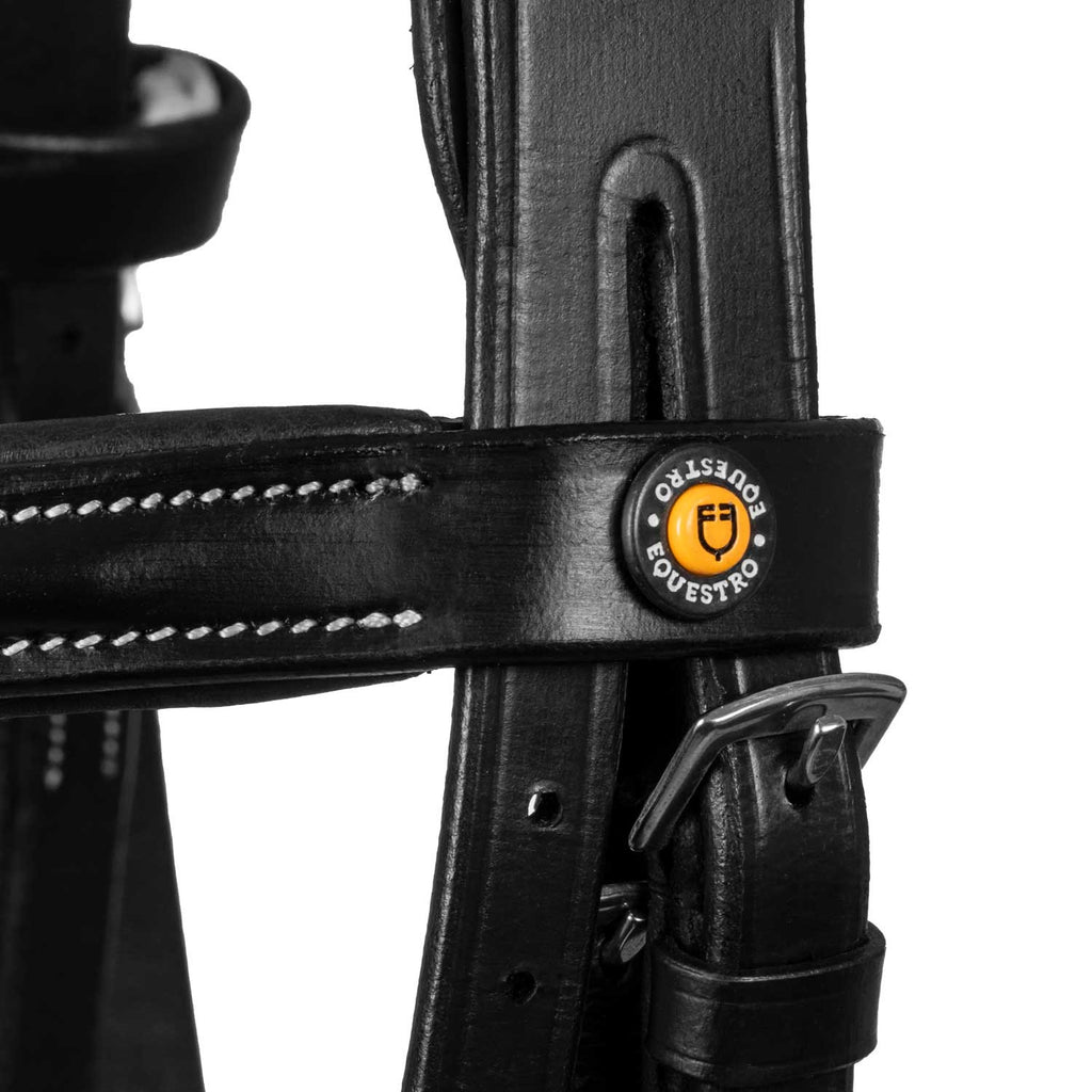 Anatomical bridle with logo