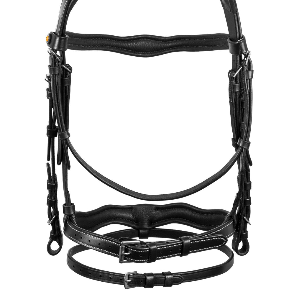 Anatomical bridle with logo