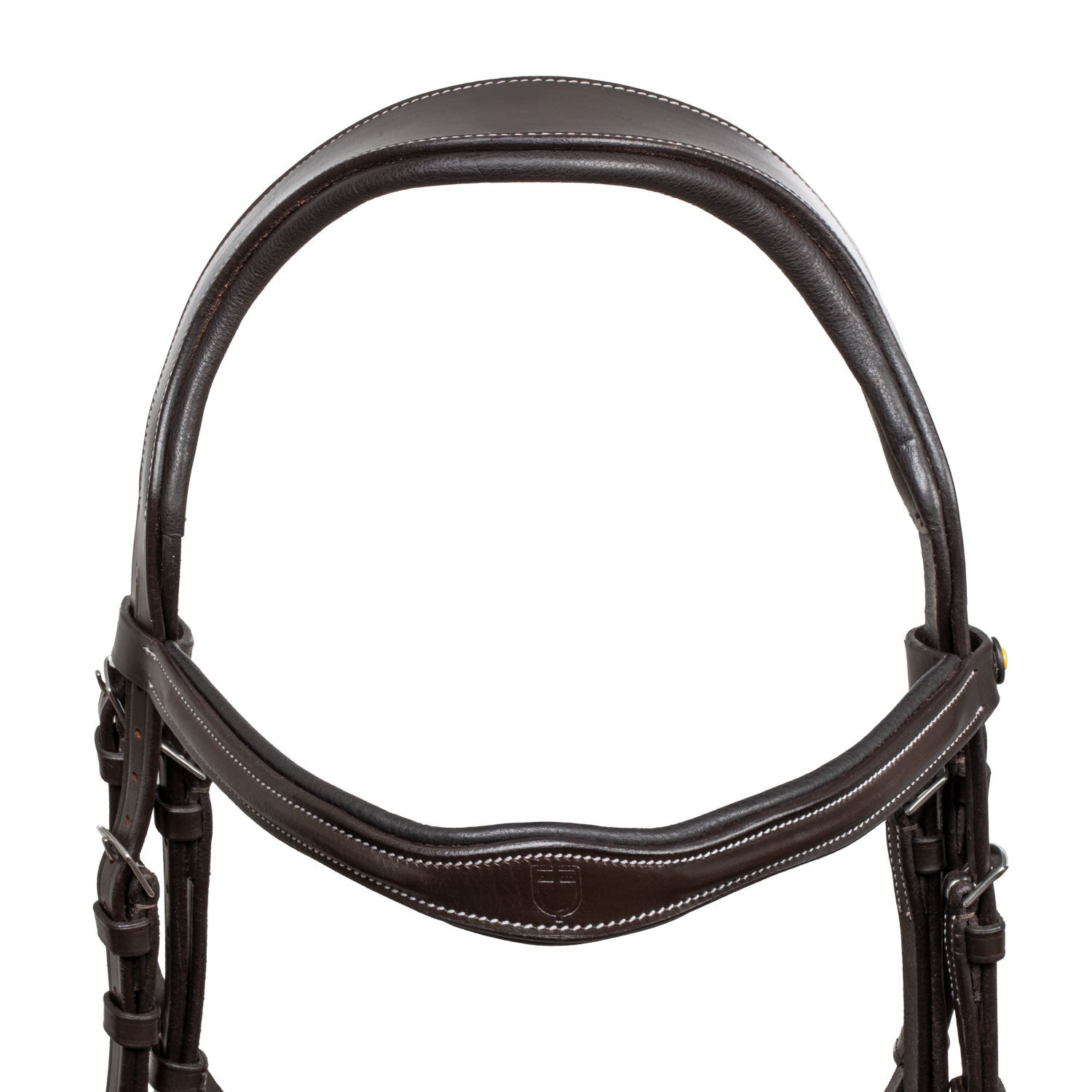 Anatomical bridle with logo