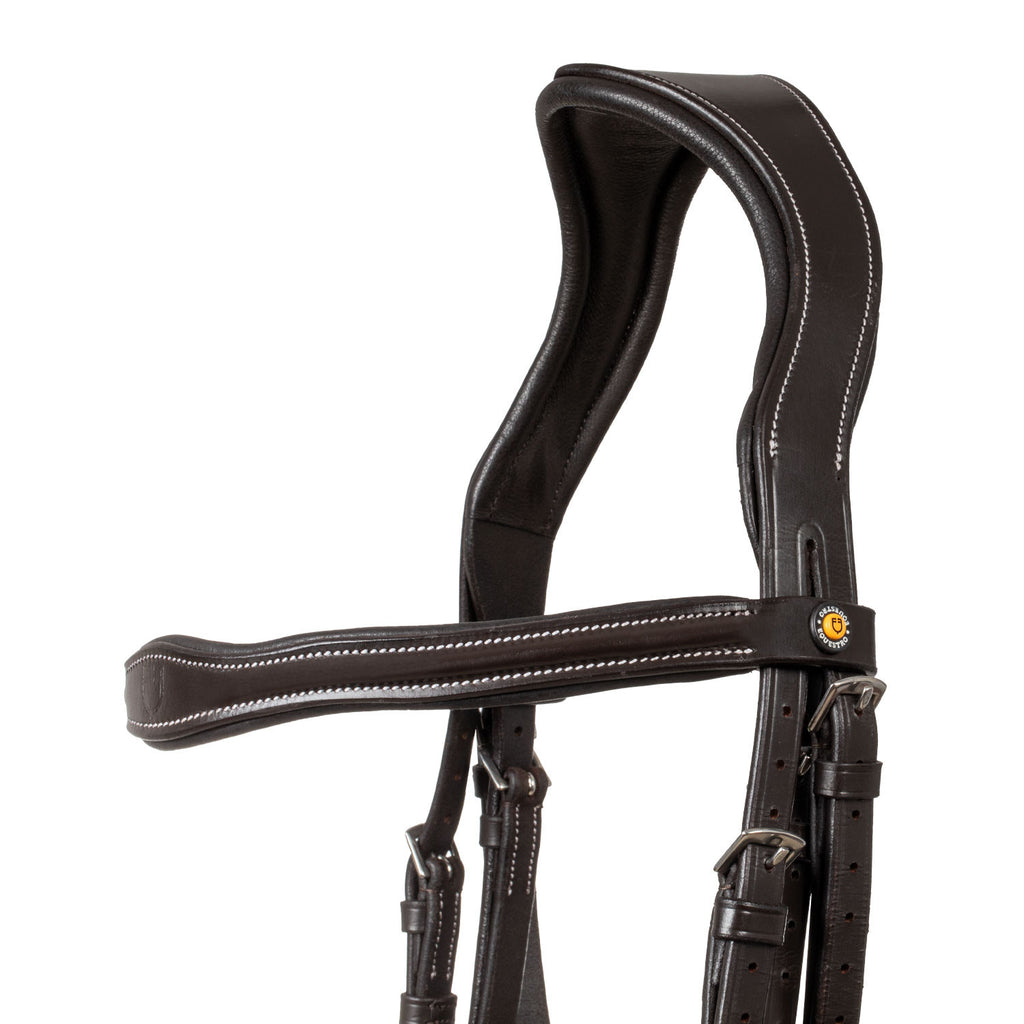 Anatomical bridle with logo