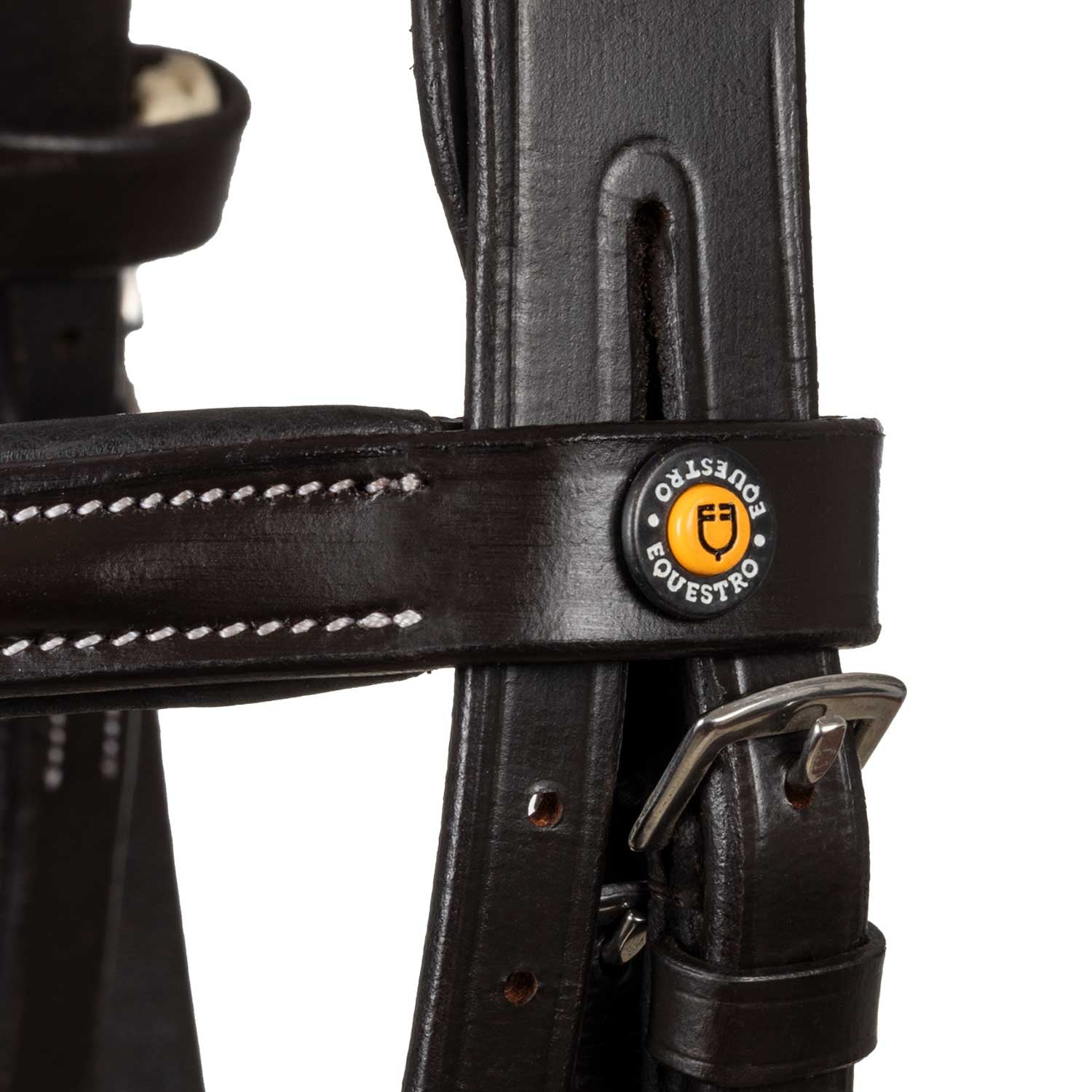 Anatomical bridle with logo