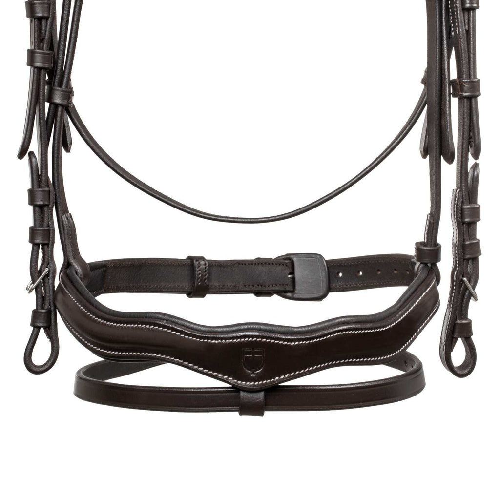 Anatomical bridle with logo