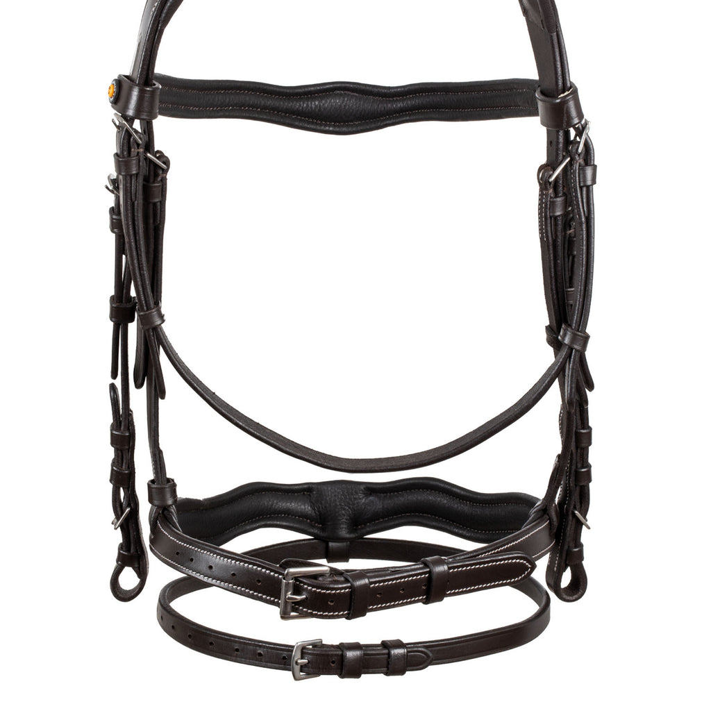 Anatomical bridle with logo