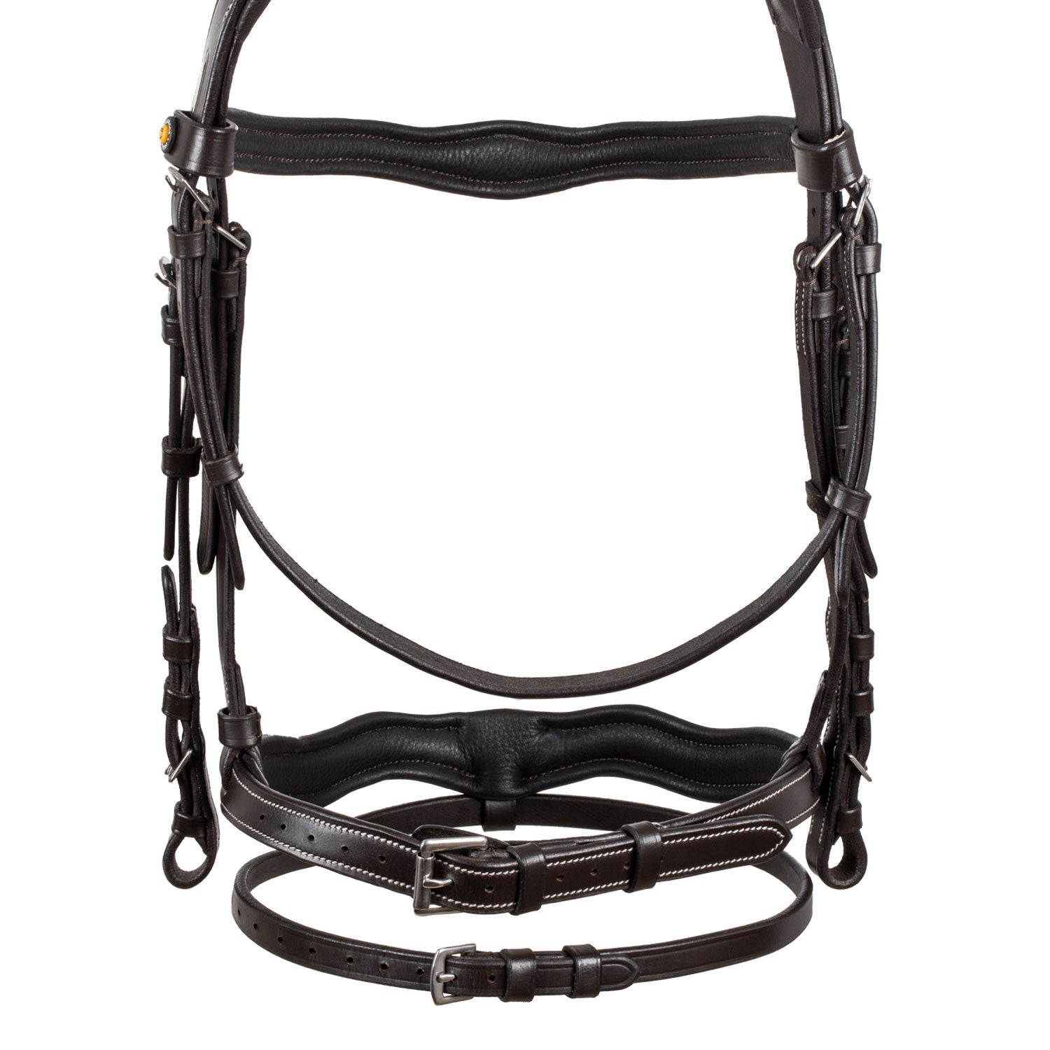 Anatomical bridle with logo