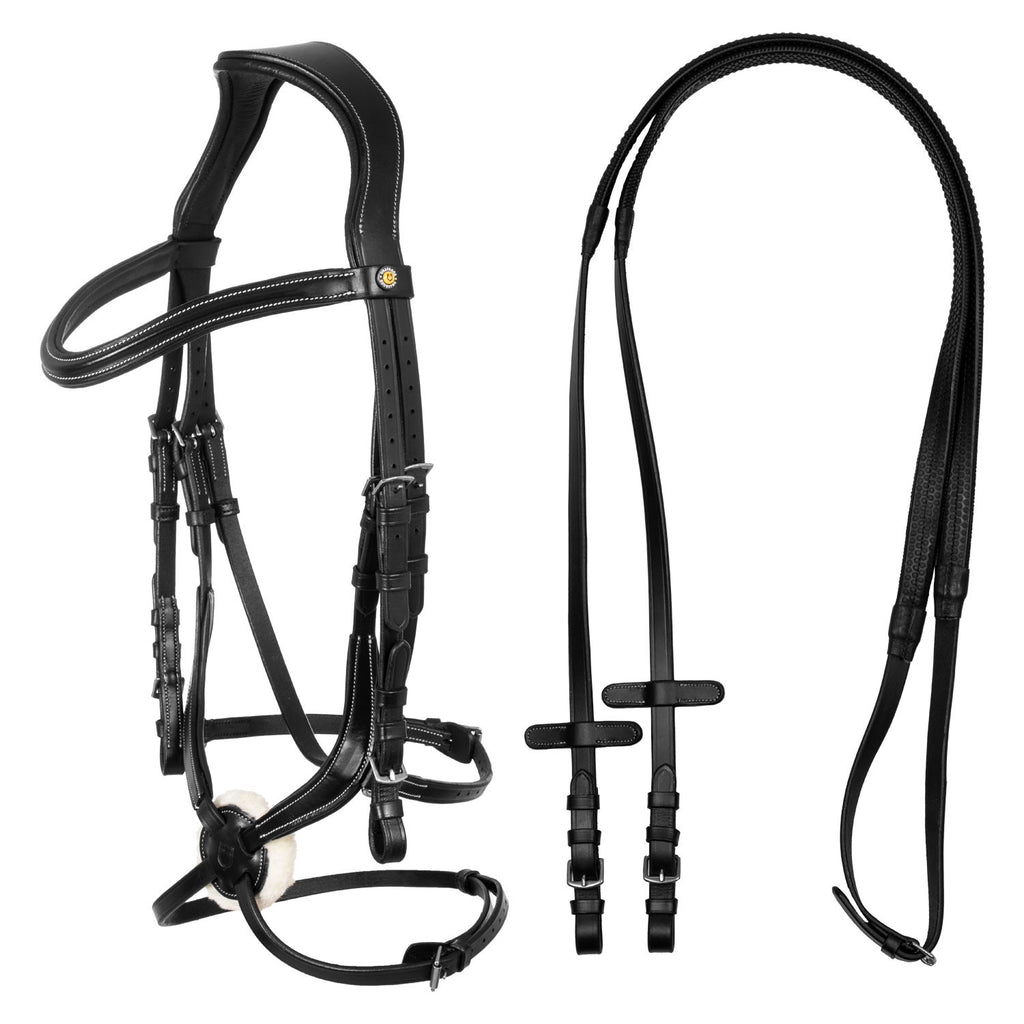 Mexican leather bridle