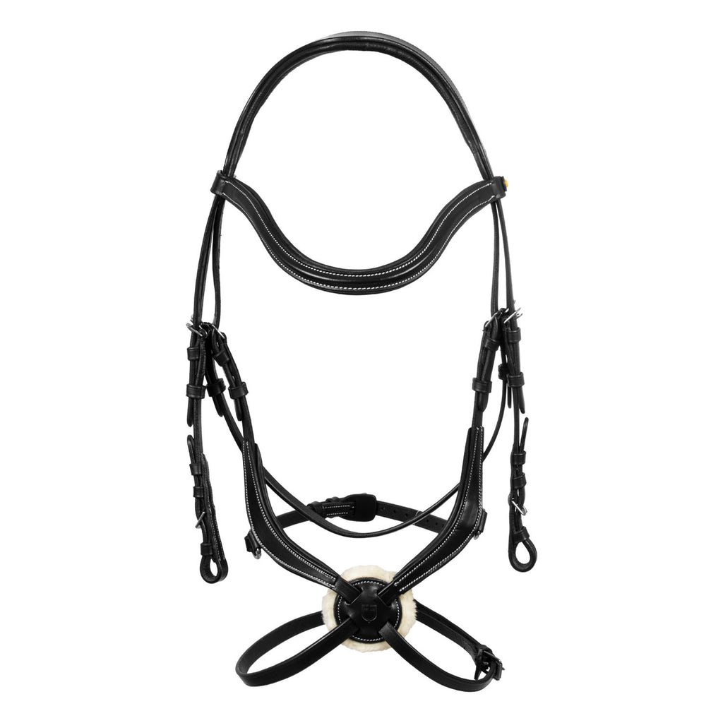 Mexican leather bridle