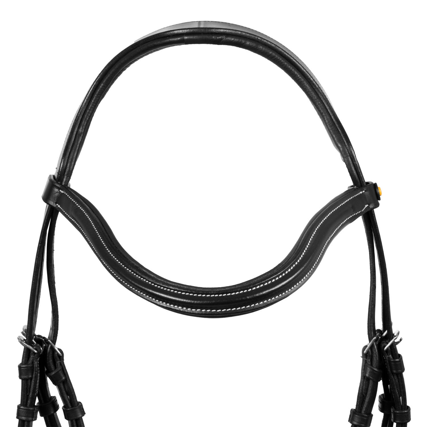 Mexican leather bridle