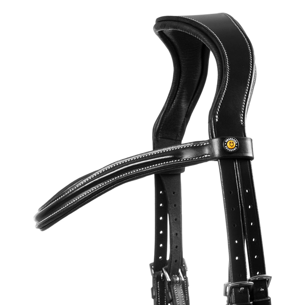 Mexican leather bridle
