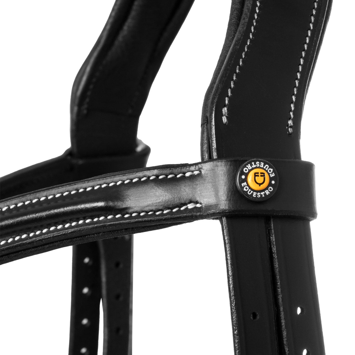 Mexican leather bridle