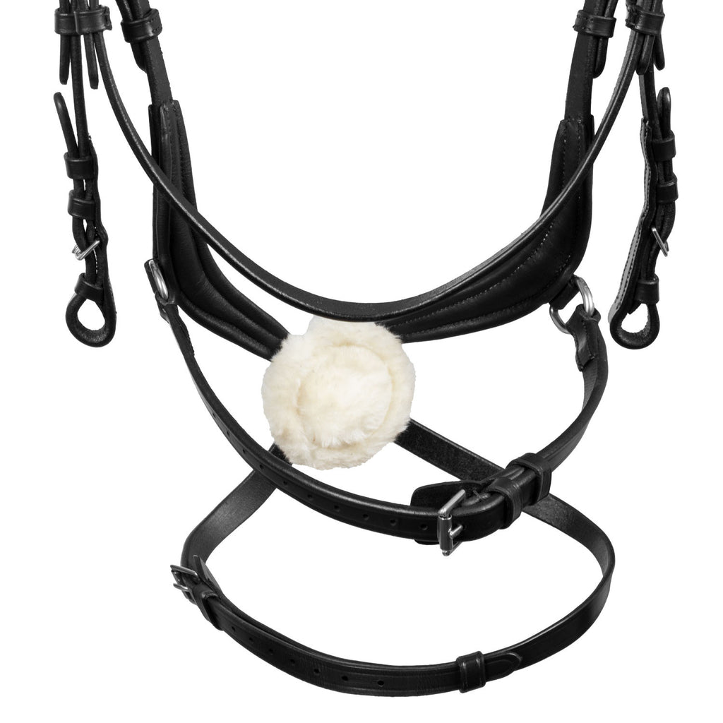 Mexican leather bridle