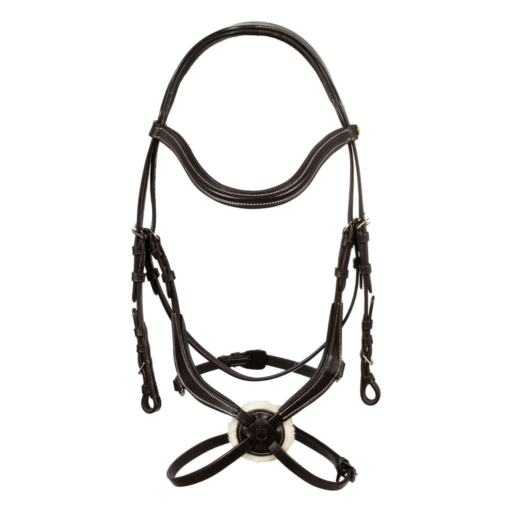 Mexican leather bridle