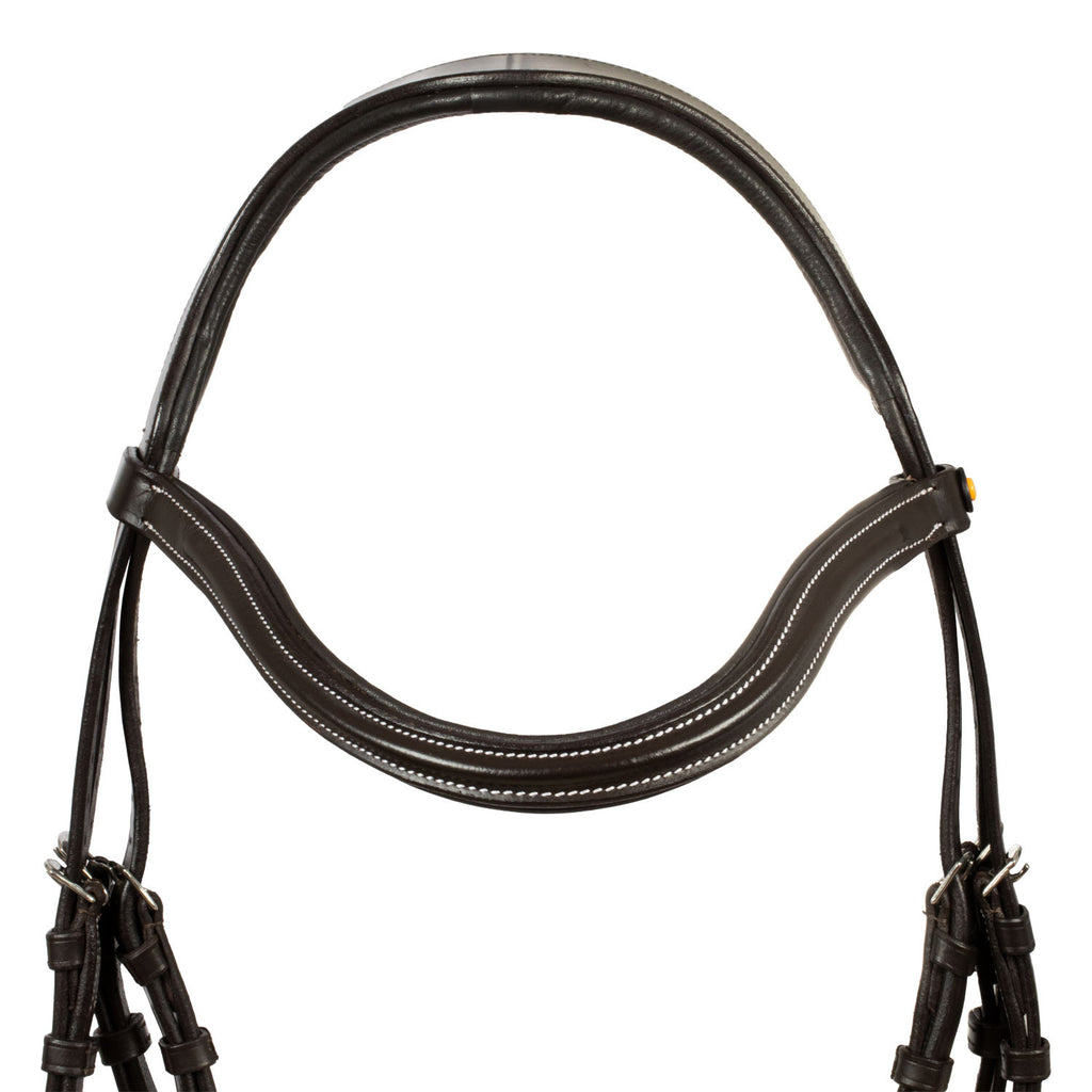 Mexican leather bridle